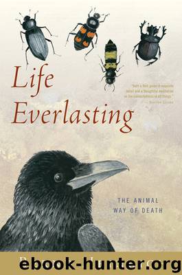 Life Everlasting by Bernd Heinrich