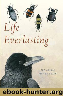 Life Everlasting: The Animal Way of Death by Heinrich Bernd