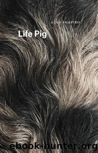 Life Pig by Alan Shapiro