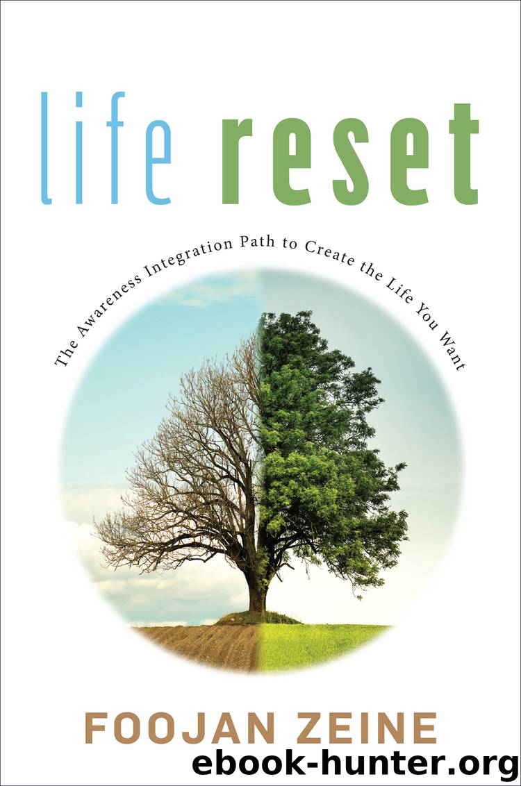 Life Reset by Foojan Zeine