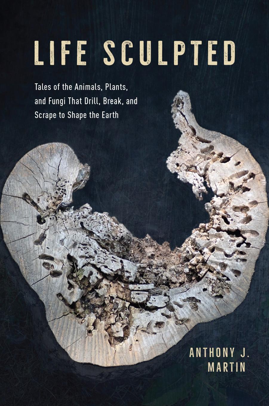 Life Sculpted: Tales of the Animals, Plants, and Fungi That Drill, Break, and Scrape to Shape the Earth by Anthony J. Martin