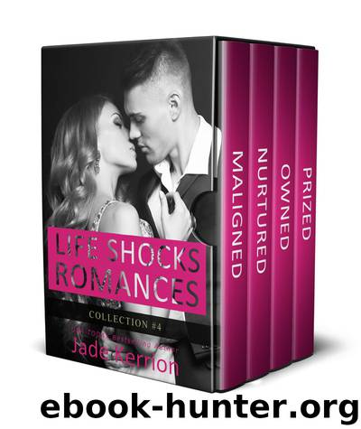 Life Shocks Romances Collection 4 by Jade Kerrion