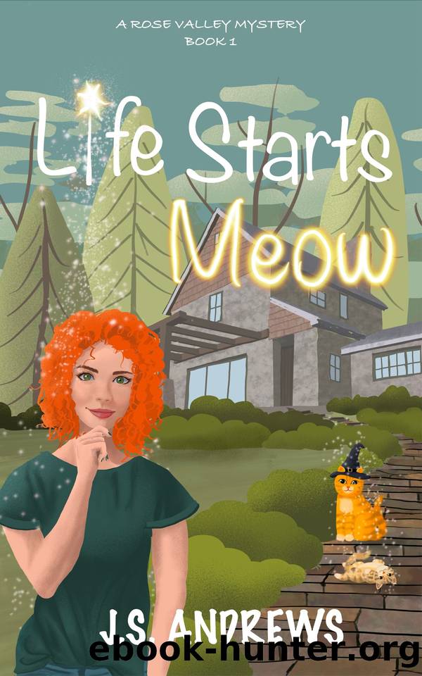 Life Starts Meow: A Rose Valley Mystery: Book One (Rose Valley Mysteries 1) by J.S. Andrews