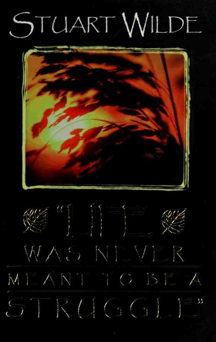 Life Was Never Meant to Be a Struggle by Stuart Wilde