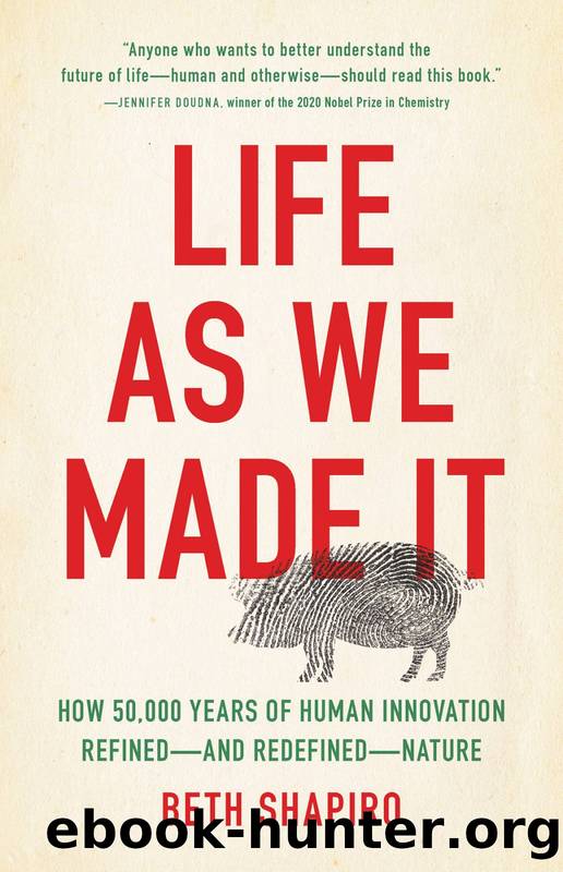 Life as We Made It by Beth Shapiro