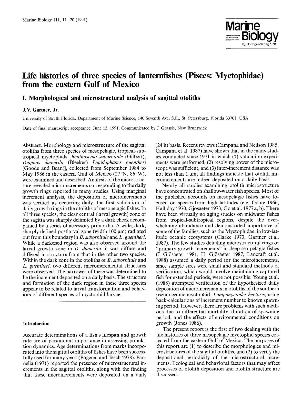 Life histories of three species of lanternfishes (Pisces: Myctophidae) from the eastern Gulf of Mexico by Unknown