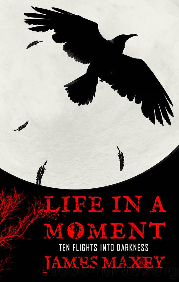 Life in a Moment: Ten Flights into Darkness by Maxey James