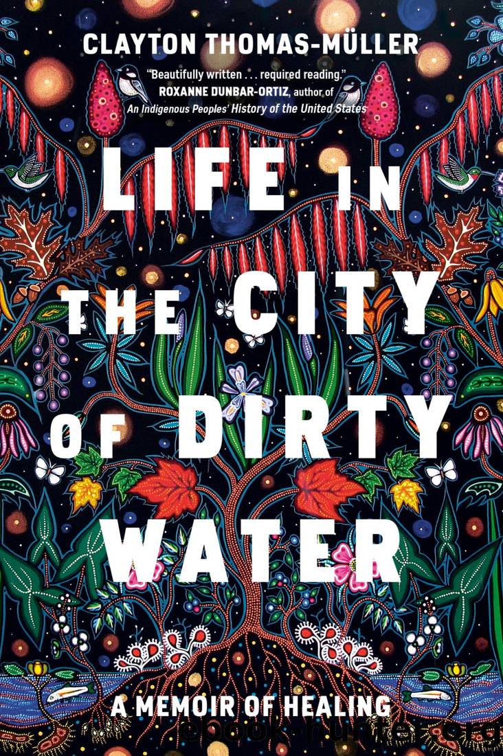 Life in the City of Dirty Water: A Memoir of Healing by Clayton Thomas-Muller