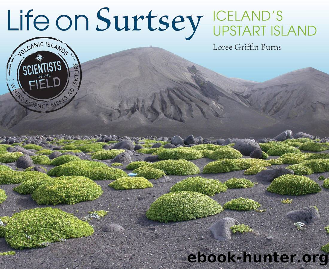 Life on Surtsey by Loree Griffin Burns