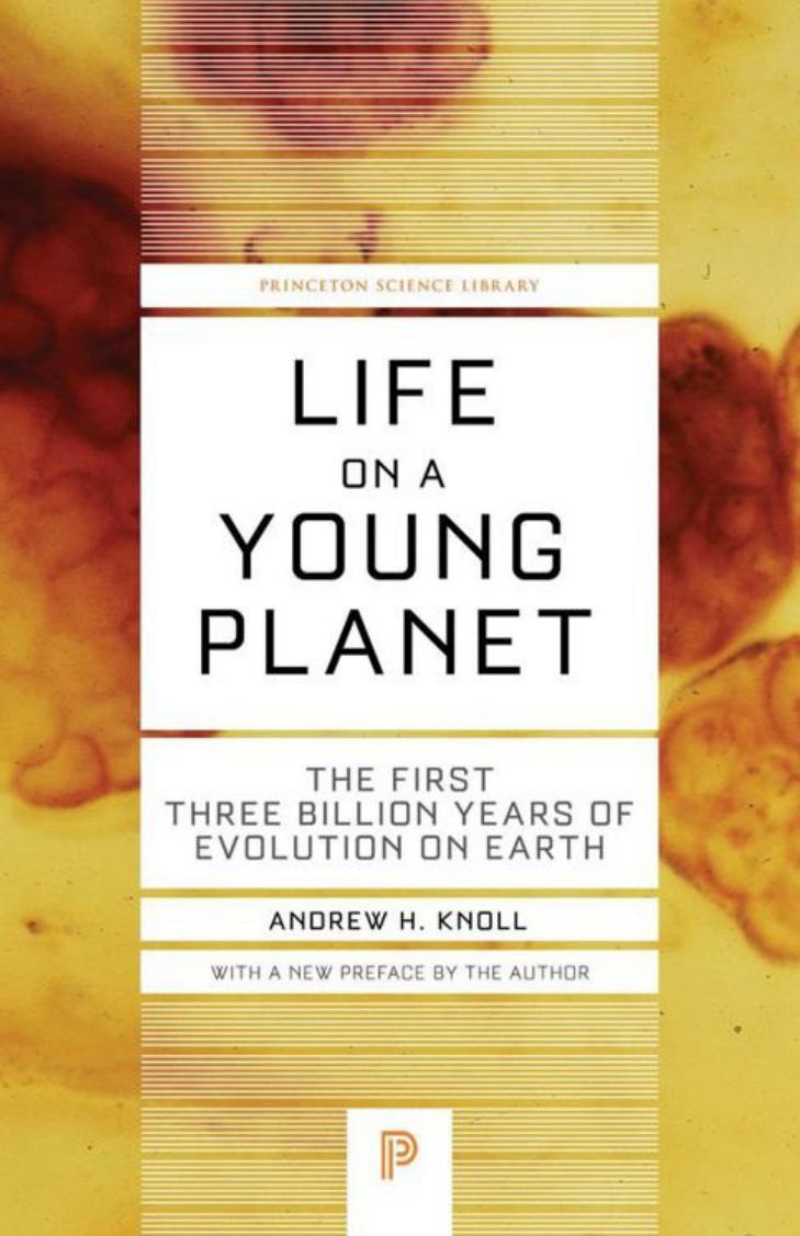 Life on a Young Planet by Andrew H. Knoll