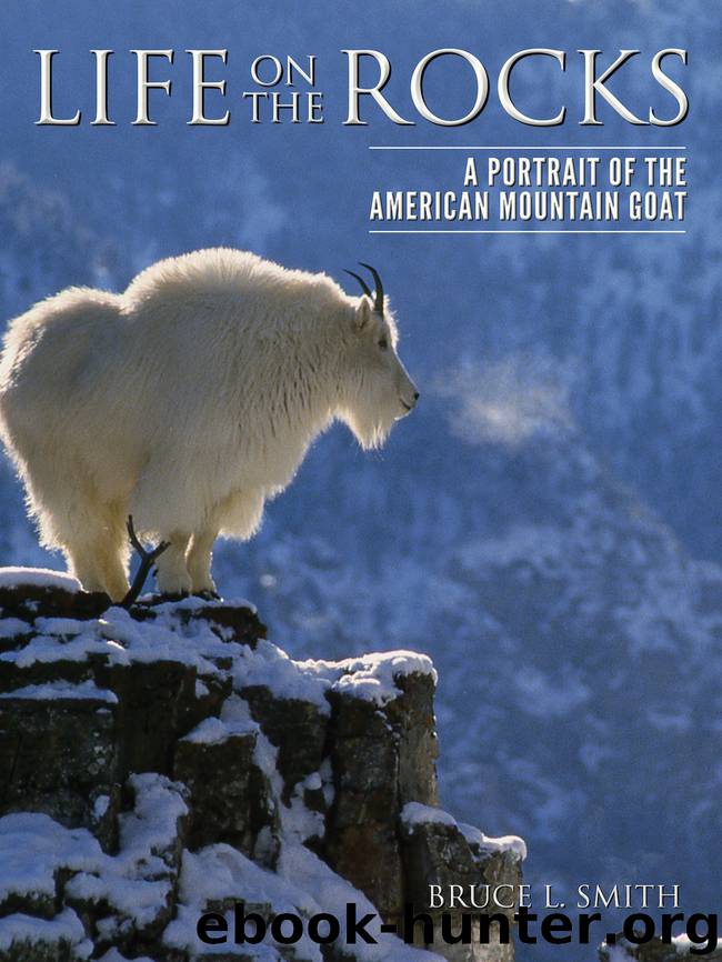 Life on the Rocks by Bruce L. Smith