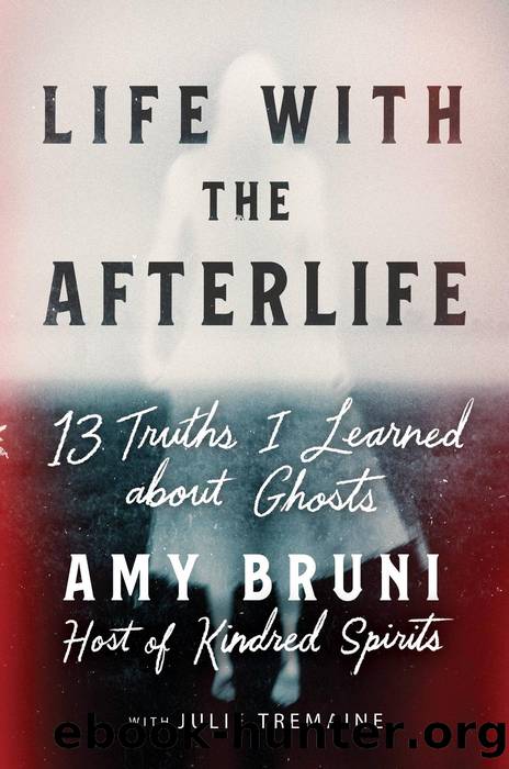 Life with the Afterlife by Amy Bruni
