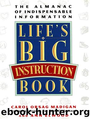 Life's Big Instruction Book by MADIGAN CAROL; ELWOOD ANN & Ann Elwood