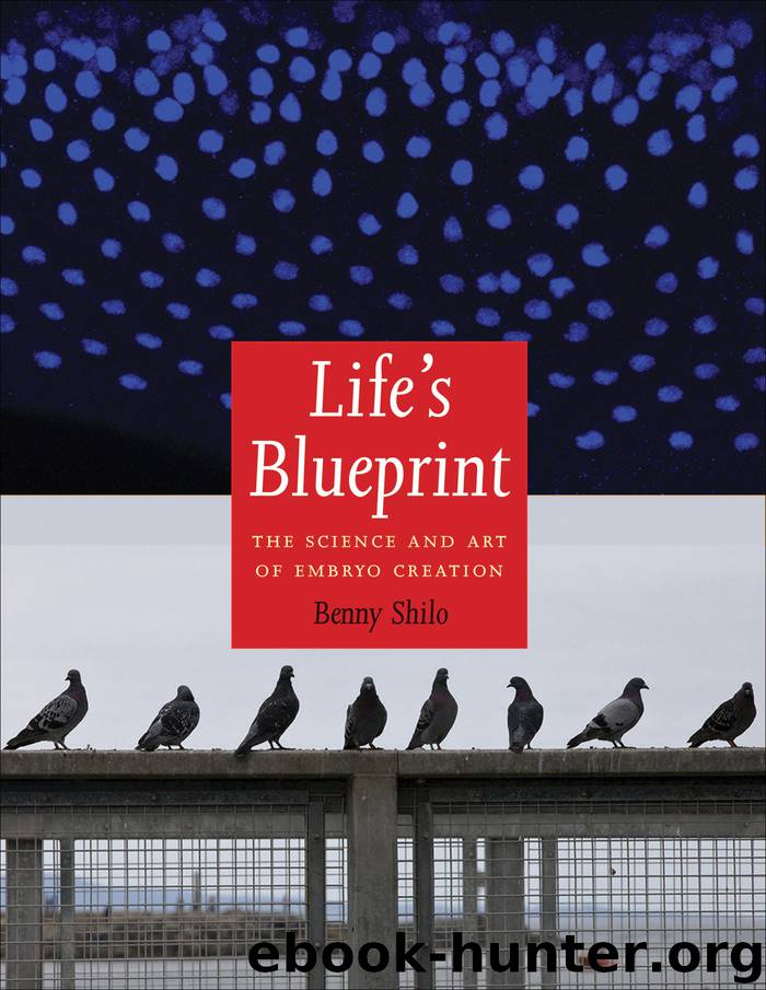 Life's Blueprint by Benny Shilo