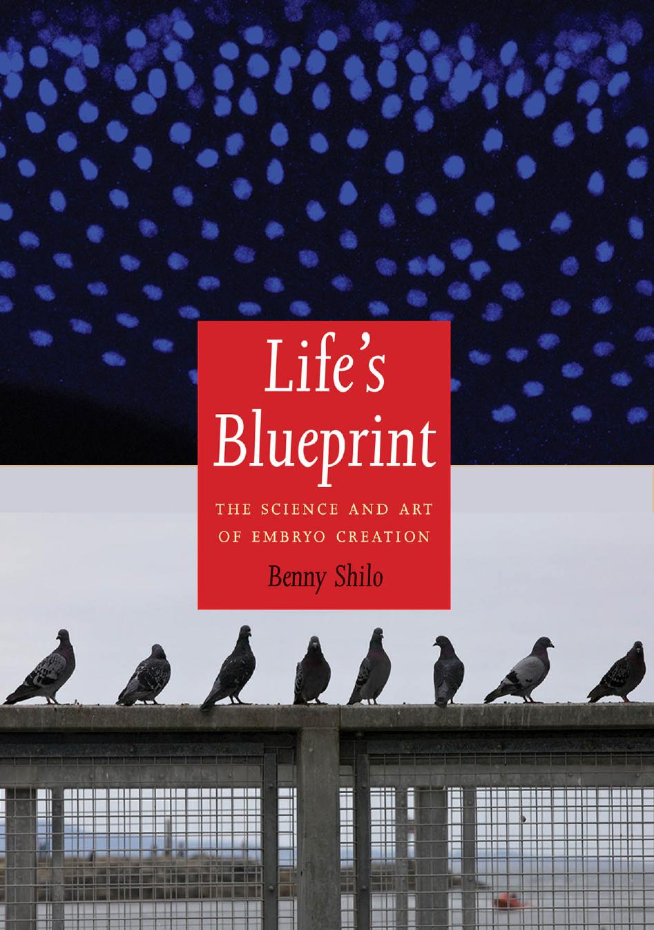 Life's Blueprint: The Science and Art of Embryo Creation by Benny Shilo
