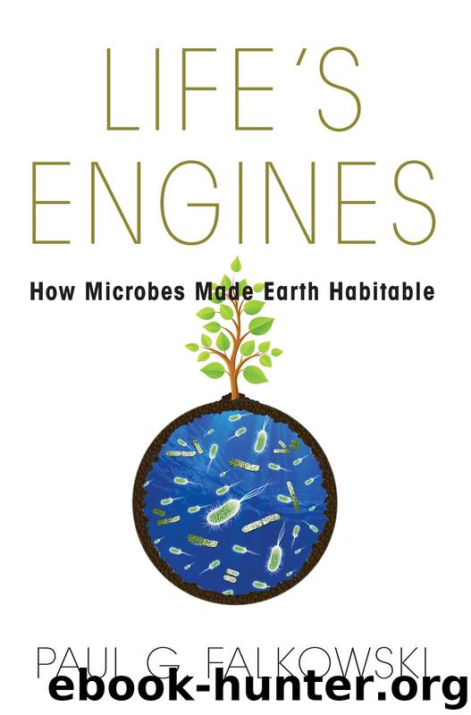 Life's Engines by Falkowski Paul G.;