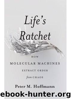 Life's Ratchet: How Molecular Machines Extract Order from Chaos by Hoffmann Peter M