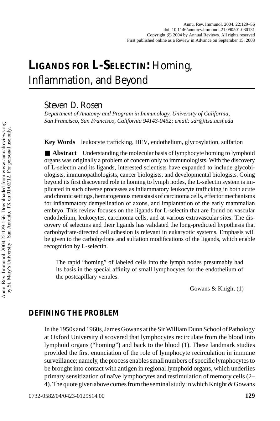 Ligands for L-Selectin: Homing, Inflammation, and Beyond by Steven D. Rosen
