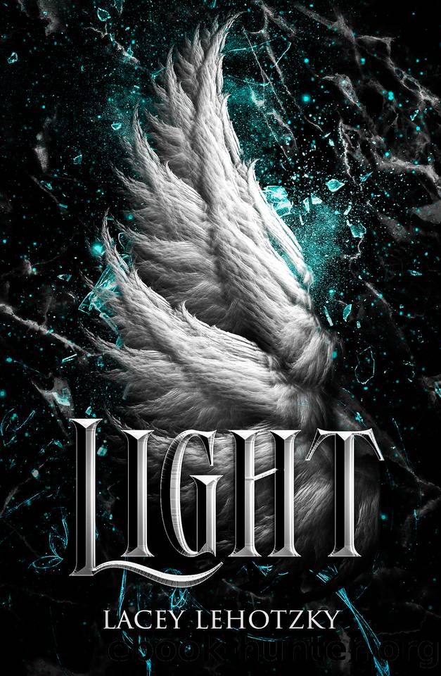 Light (A Choice of Light and Dark Book 2) by Lacey Lehotzky