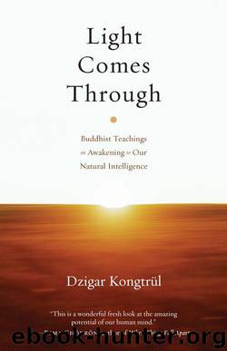 Light Comes Through: Buddhist Teachings on Awakening to Our Natural Intelligence by Kongtrul Dzigar