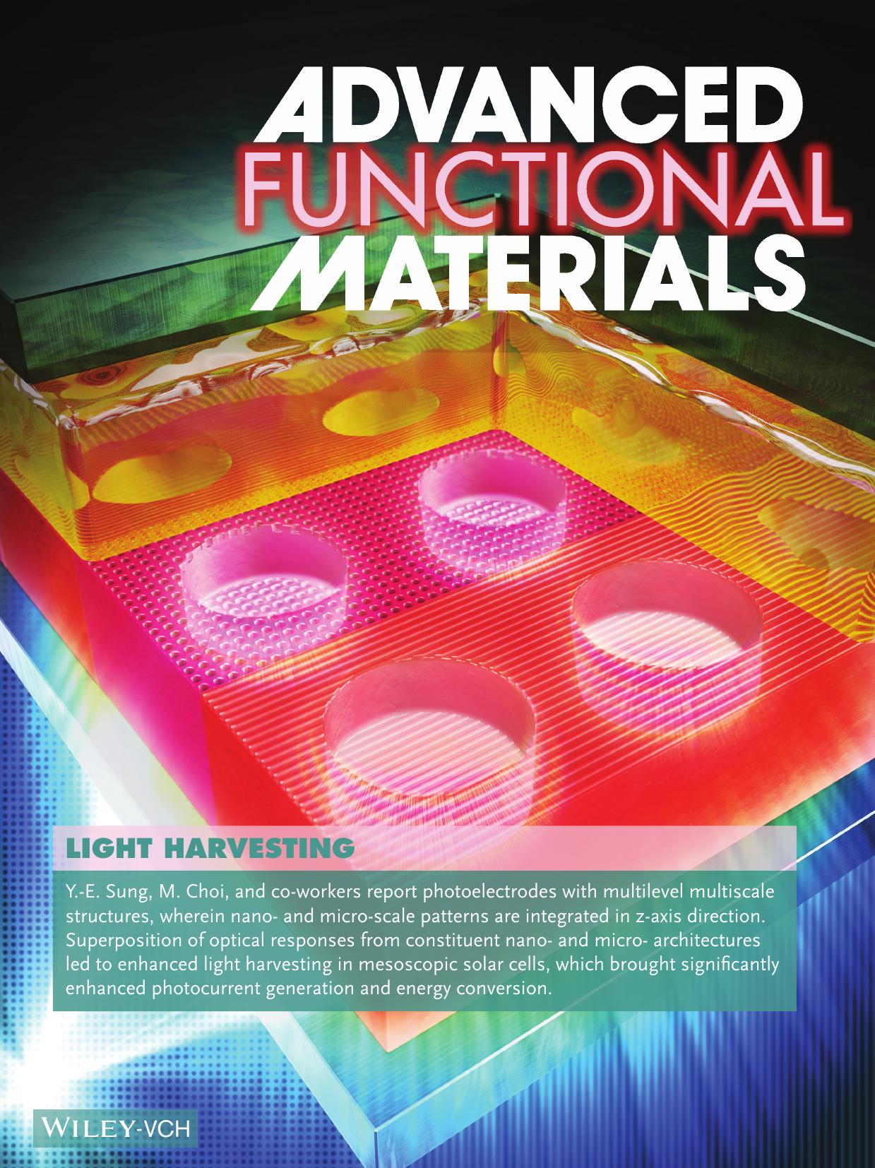 Light Harvesting: Enhanced Light Harvesting in Mesoscopic Solar Cells by Multilevel Multiscale Patterned Photoelectrodes with Superpositioned Optical Properties (Adv. Funct. Mater. 36/2016) by Unknown