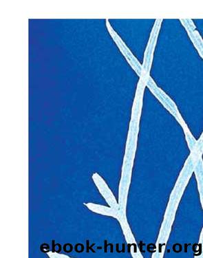 Light Light by Julie Joosten