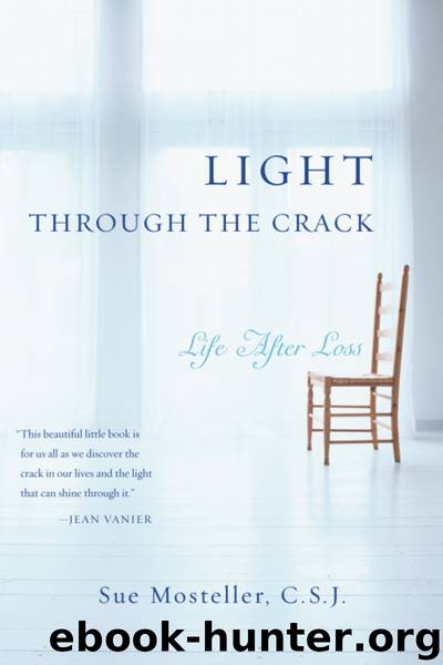 Light Through the Crack by Sue Mosteller
