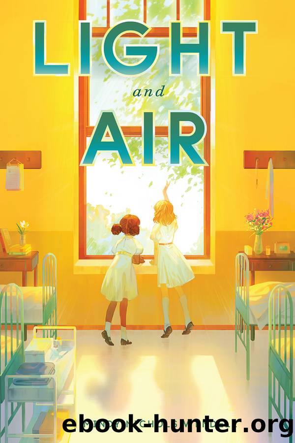 Light and Air by Mindy Nichols Wendell