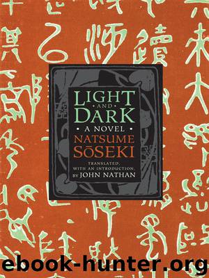Light and Dark by Natsume Soseki