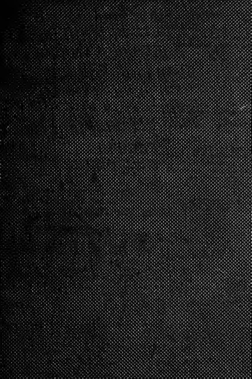 Light horses : breeds and management by Blew William Charles Arlington 1848-