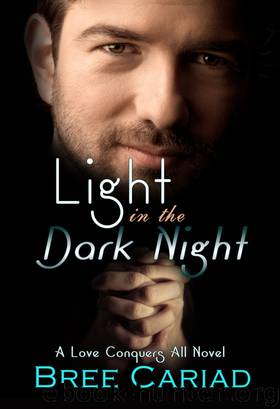 Light in the Dark Night by Bree Cariad