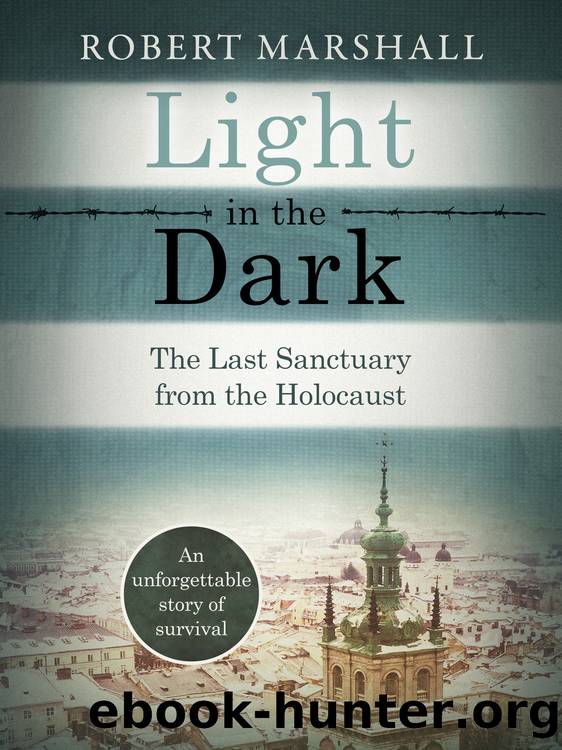 Light in the Dark by Robert Marshall