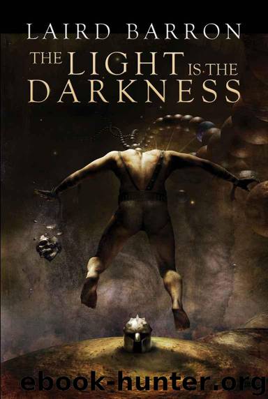 Light is the Darkness, The by Barron Laird