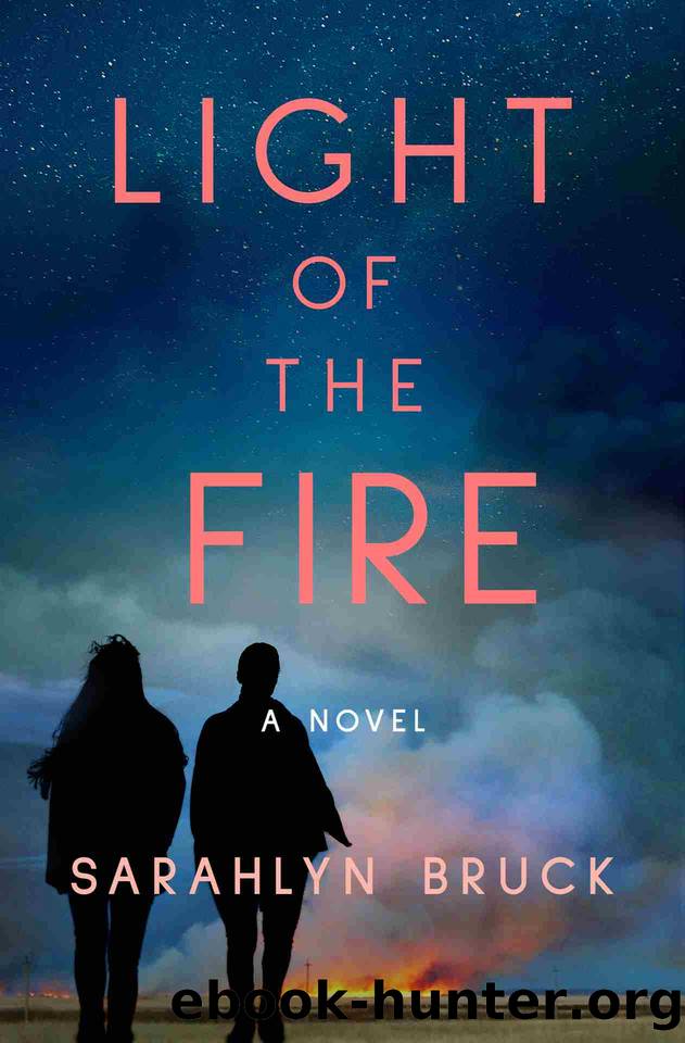 Light of the Fire: A Novel by Sarahlyn Bruck