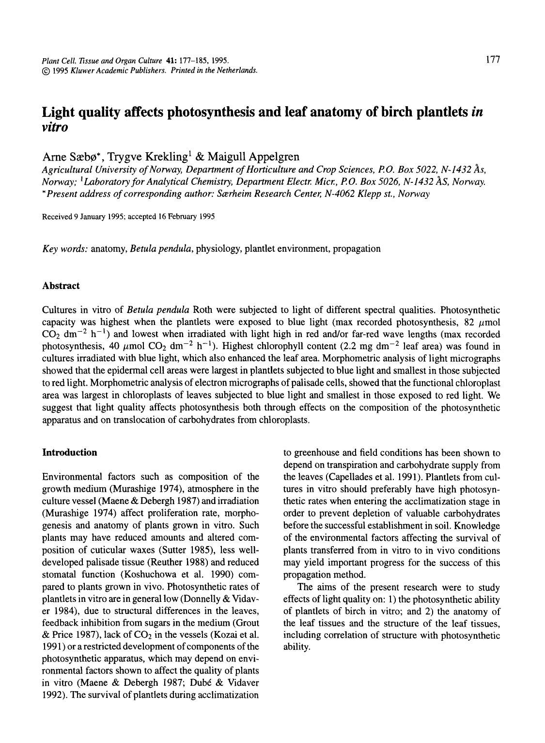 Light quality affects photosynthesis and leaf anatomy of birch plantlets <Emphasis Type="Italic">in vitro <Emphasis> by Unknown