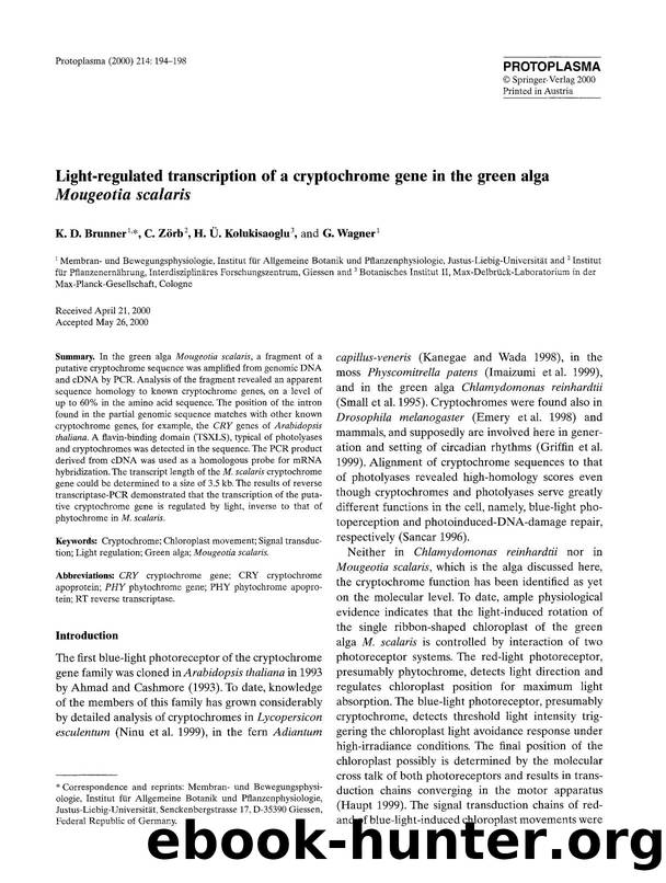 Light-regulated transcription of a cryptochrome gene in the green alga <Emphasis Type="Italic">Mougeotia scalaris <Emphasis> by Unknown