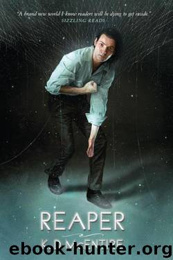 Lightbringer 02 - Reaper by K. D. McEntire
