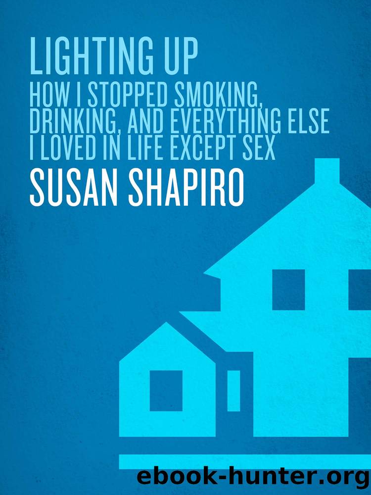 Lighting Up by Susan Shapiro