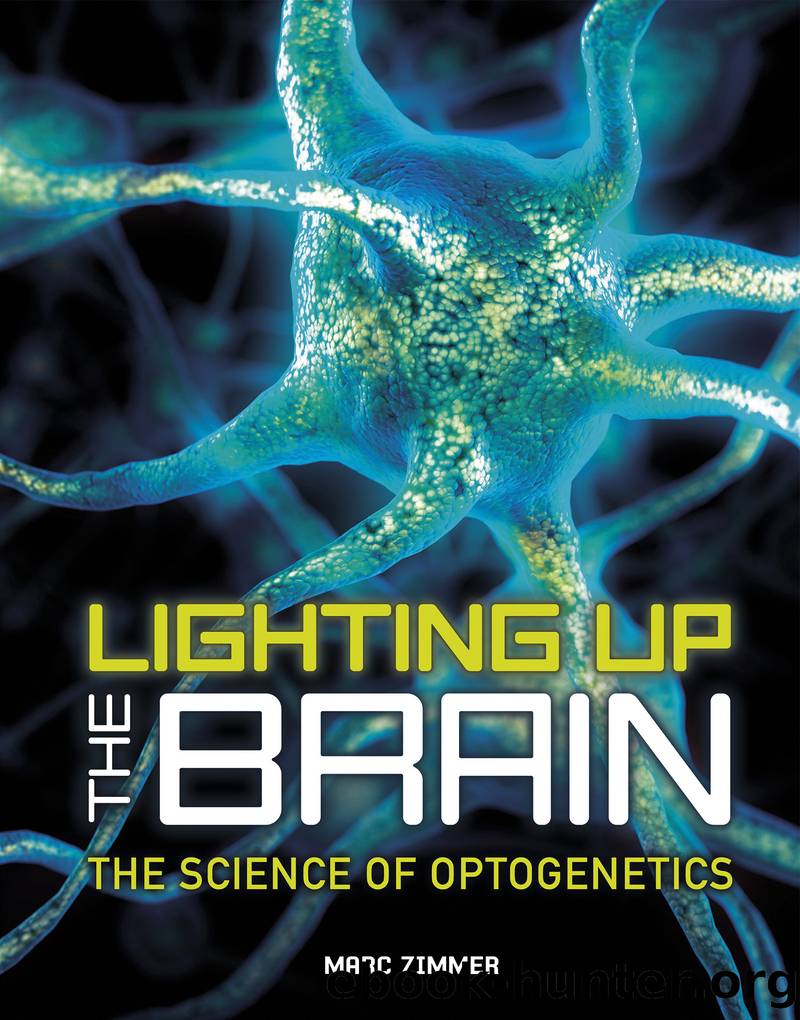 Lighting Up the Brain by Marc Zimmer