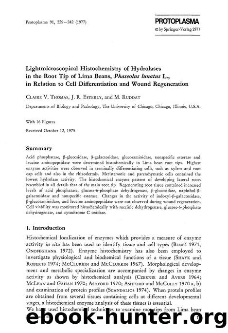 Lightmicroscopical histochemistry of hydrolases in the root tip of lima beans, <Emphasis Type="Italic">Phaseolus lunatus <Emphasis> L., in relation to cell differentiation and wound regeneration by Unknown