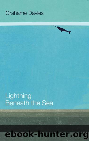 Lightning Beneath the Sea by Grahame Davies