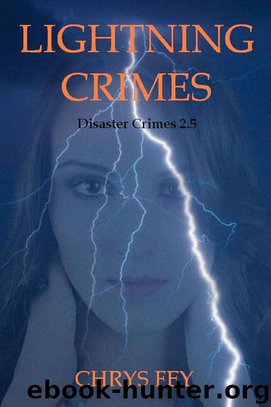 Lightning Crimes by Chrys Fey