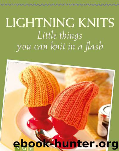 Lightning Knits by Naumann & Göbel Verlag