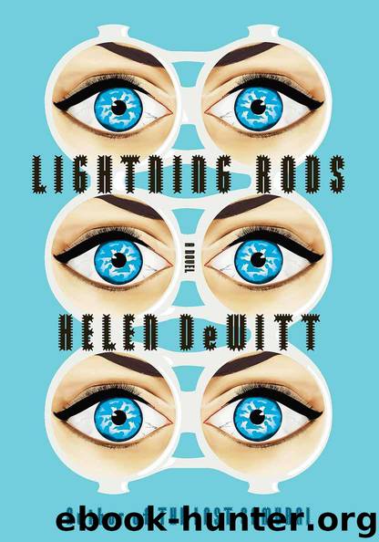 Lightning Rods by DeWitt Helen