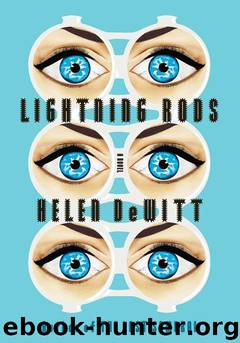 Lightning Rods by Helen de Witt