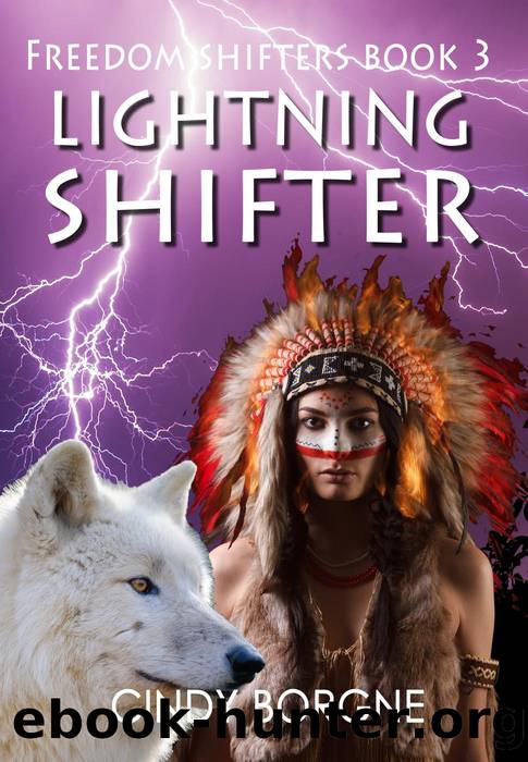 Lightning Shifter by Cindy Borgne