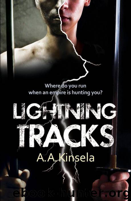 Lightning Tracks by A. A. Kinsela