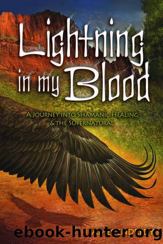 Lightning in My Blood by James Endredy