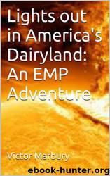 Lights Out in America's Dairyland: An EMP Adventure by Victor Marbury