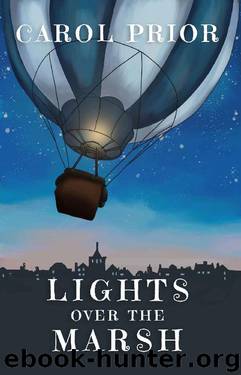 Lights Over the Marsh by Carol Prior